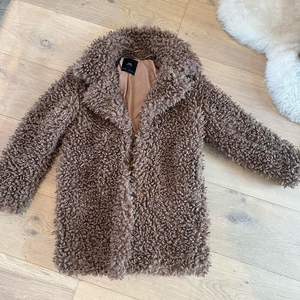 Zara Fuzzy Coat